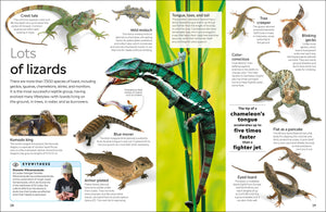 Eyewitness: Reptile