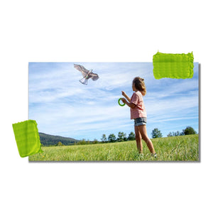 Terra Kids Bald Eagle Kite by Haba