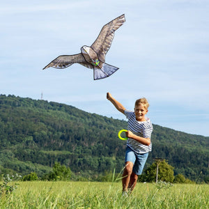 Terra Kids Bald Eagle Kite by Haba