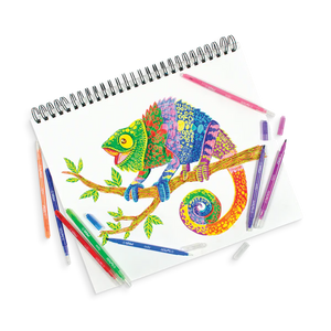 Ooly Switch-eroo! Color Changing Markers -- Set of 12