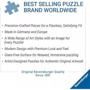 Ravensburger Dream Library 500 Piece Puzzle