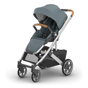UPPAbaby Cruz V3 in Callum (Special Order)