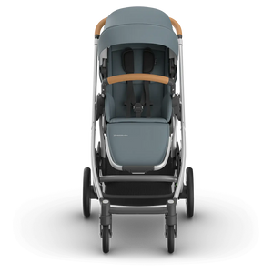 UPPAbaby Cruz V3 in Callum (Special Order)