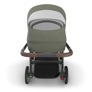 UPPAbaby Cruz V3 in Evelyn (Special Order)
