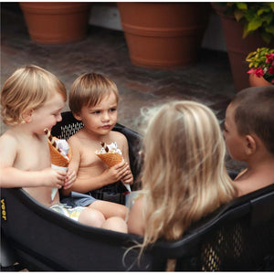 Veer All-Terrain Cruiser XL (Special Order)