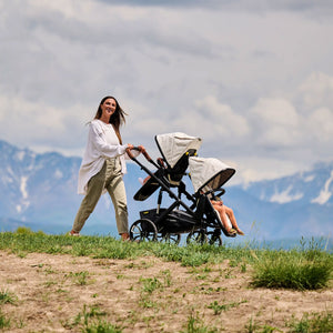 Veer &Roll Stroller Frame (Special Order)