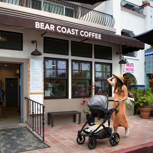 Veer &Roll Stroller Frame (Special Order)