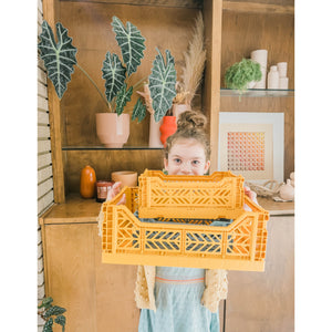 Aykasa Medium Folding Crate in Banana