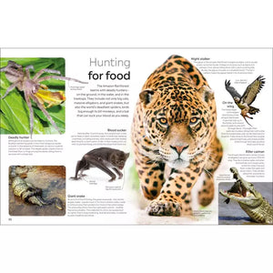 Eyewitness: The Amazon