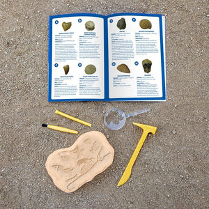 Educational Insights: Geosafari Fossil Excavation Kit