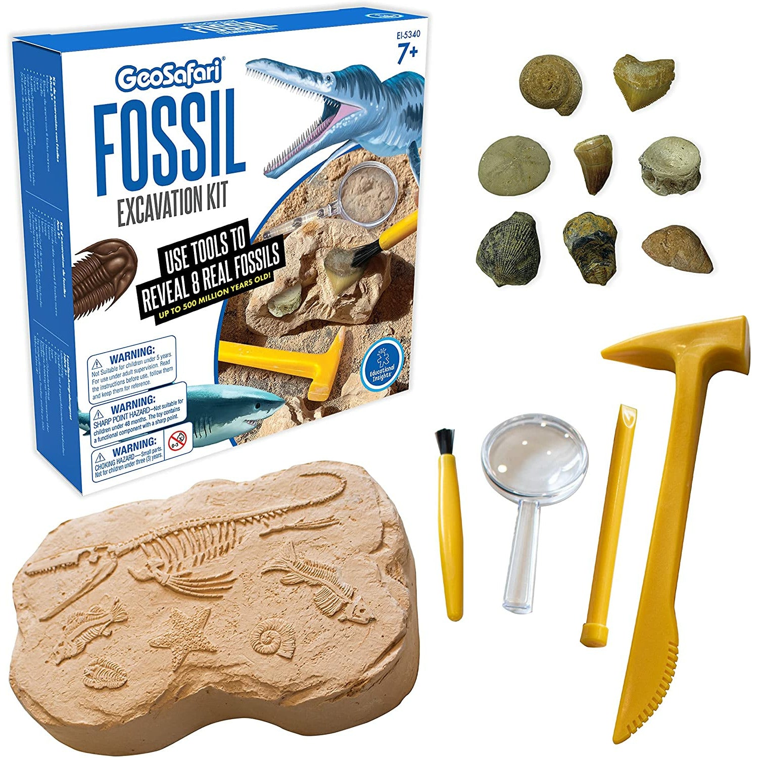 Educational Insights: Geosafari Fossil Excavation Kit