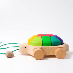 Grimm's Rainbow Turtle