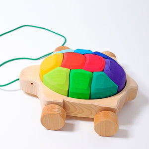 Grimm's Rainbow Turtle