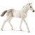 detailed holsteiner foal, mostly white