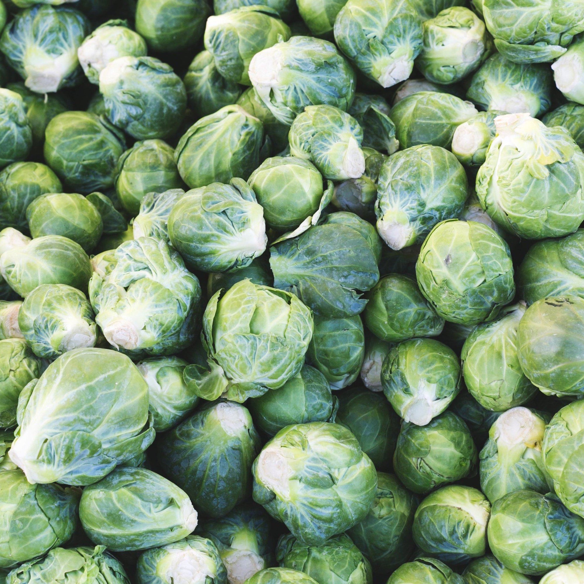 Picky Eating: Past and Present