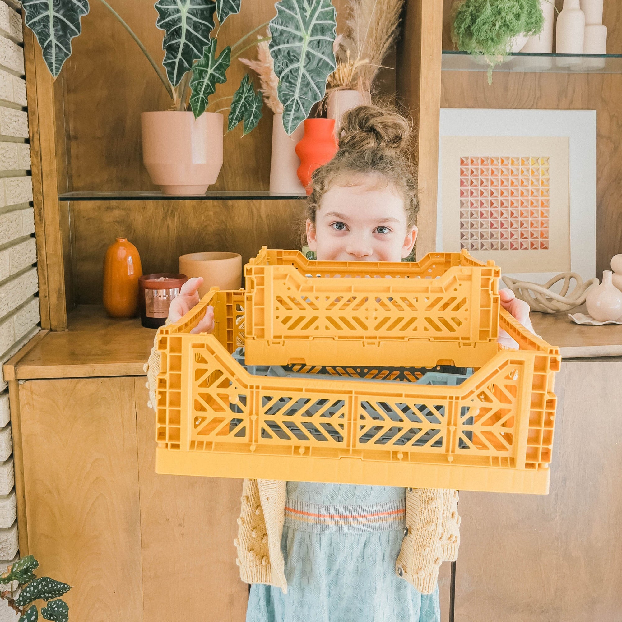 Aykasa Folding Crates