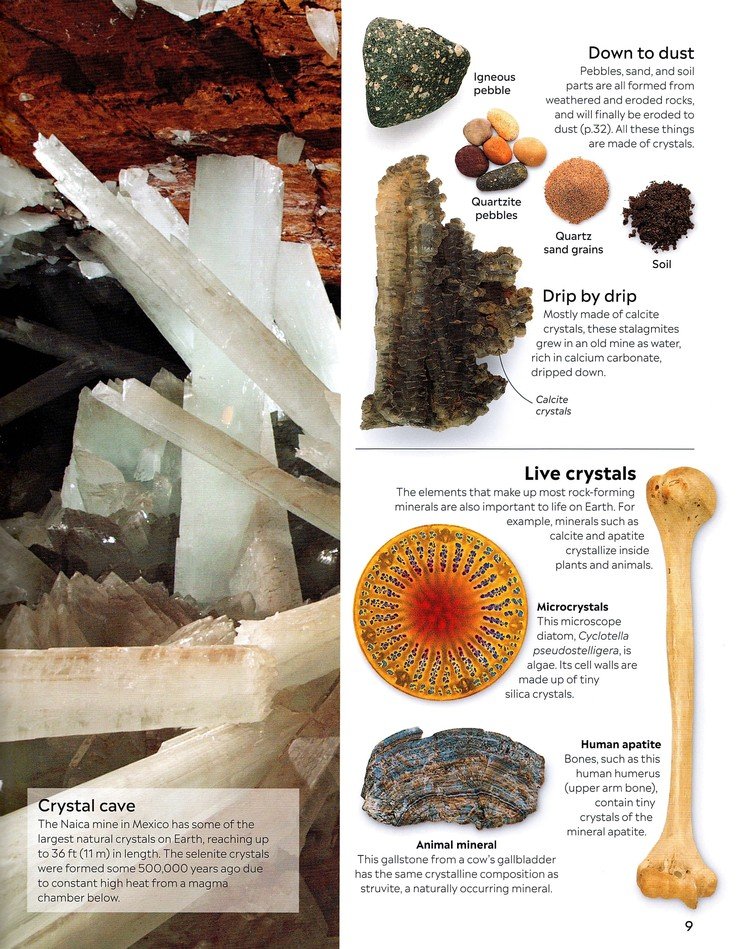 Eyewitness: Crystal & Gem