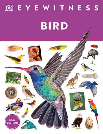 Eyewitness: Bird