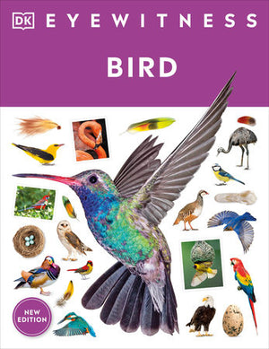 Eyewitness: Bird