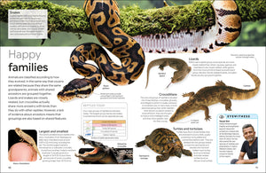 Eyewitness: Reptile