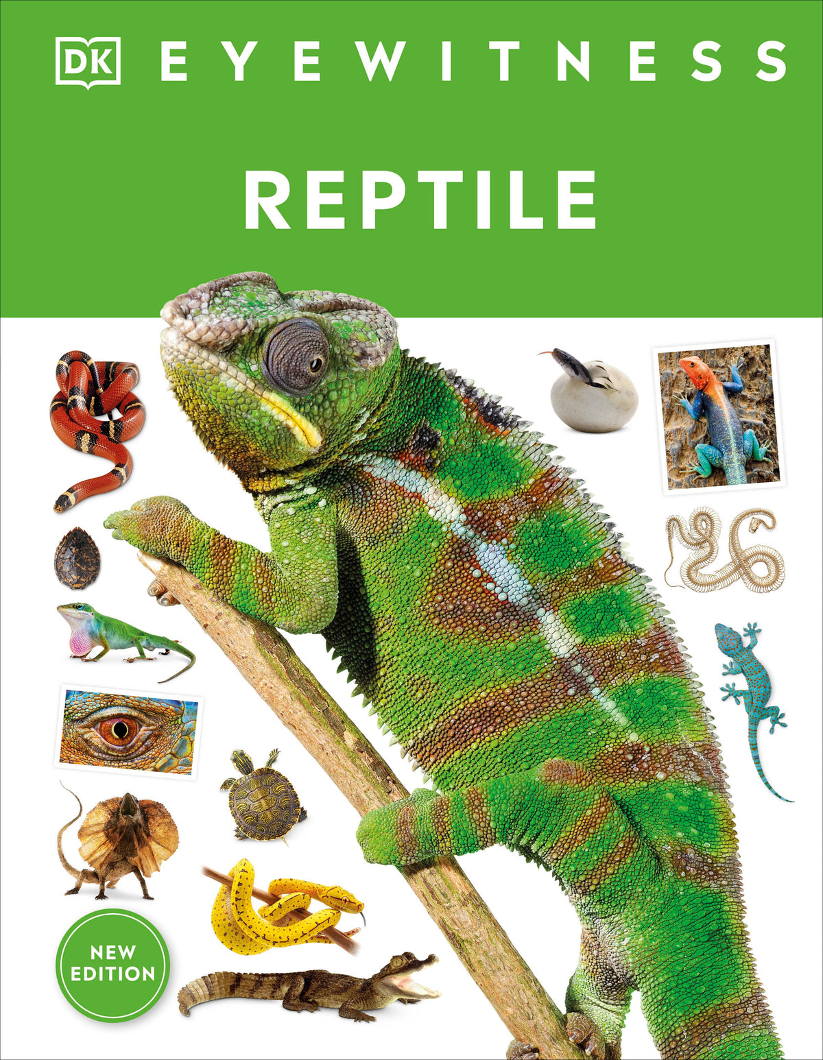 Eyewitness: Reptile