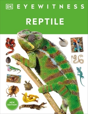 Eyewitness: Reptile
