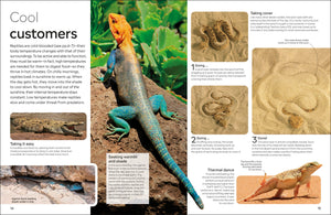 Eyewitness: Reptile