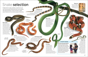 Eyewitness: Reptile