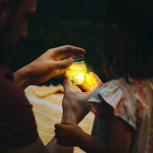Glo Pals- Alex Light Up Cubes