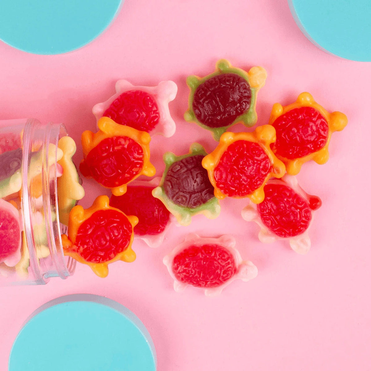 Candy Club -- Jellyshell Sea Turtles