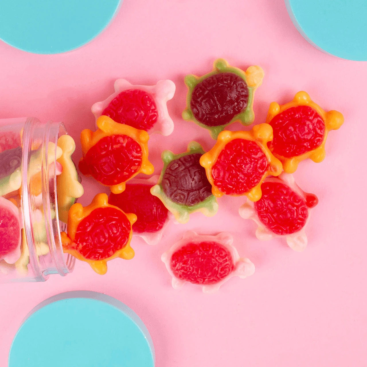 Candy Club -- Jellyshell Sea Turtles