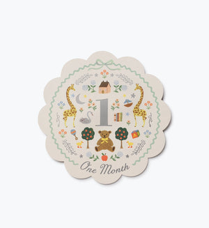 Rifle Paper Co Storybook Milestone Cards