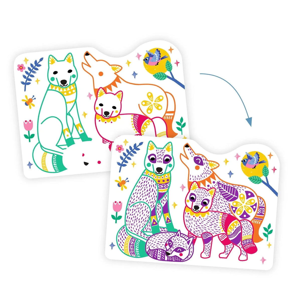 Djeco Forest Families Coloring