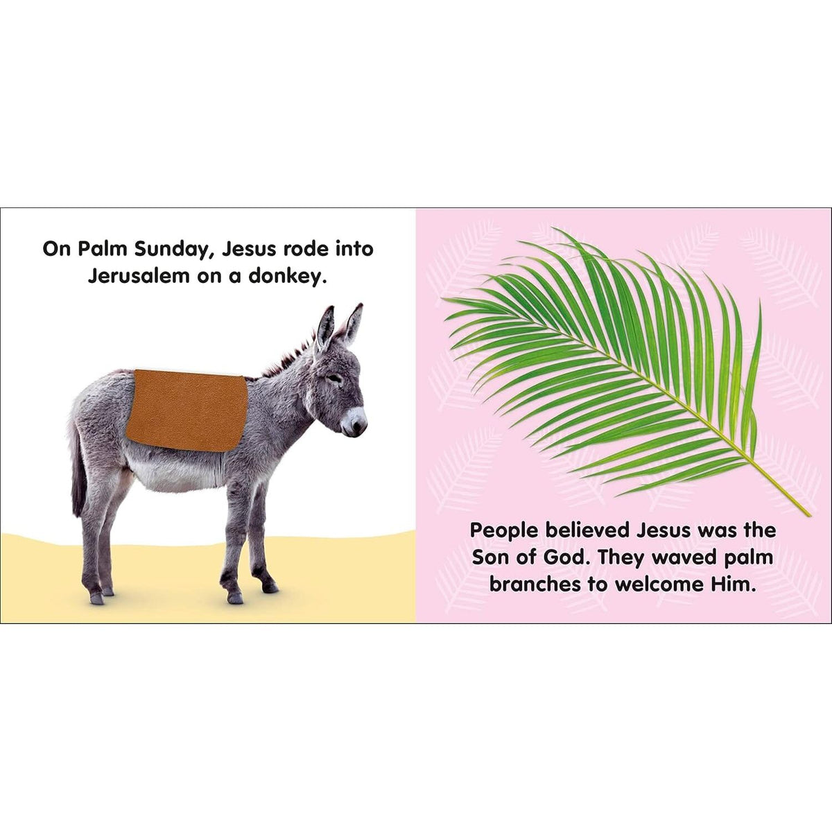 DK Baby's First Easter