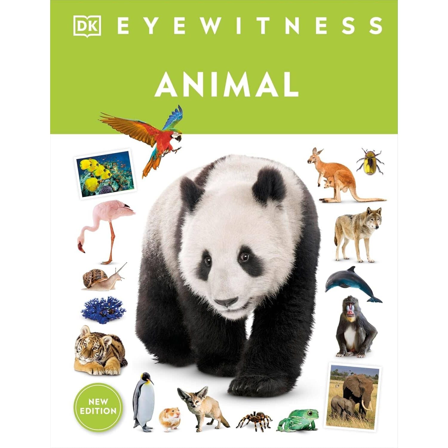 Eyewitness: Animal