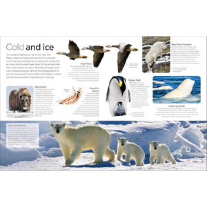 Eyewitness: Animal