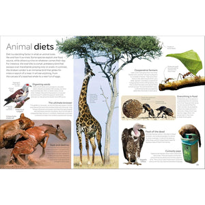 Eyewitness: Animal