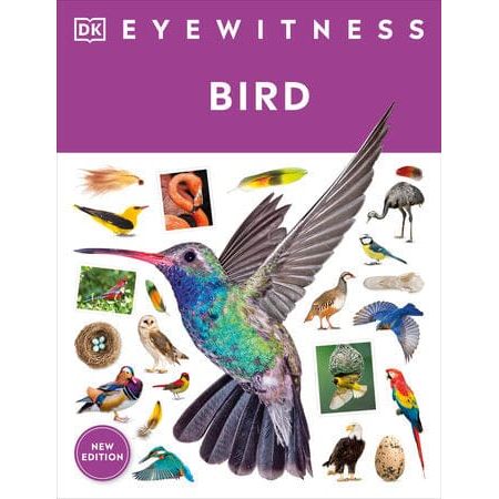 Eyewitness: Bird