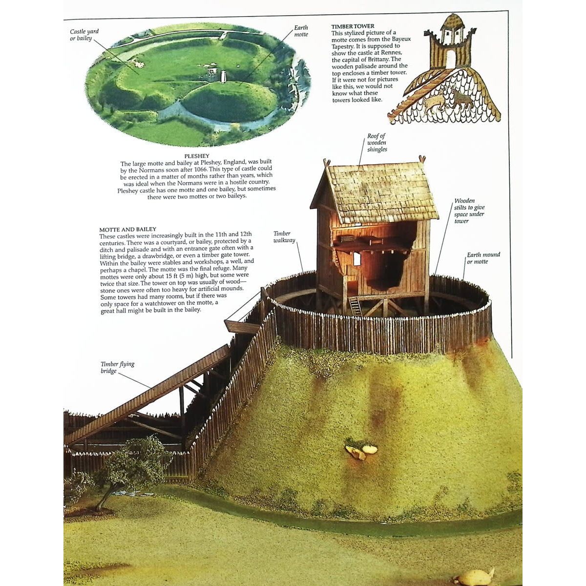 Eyewitness: Castle