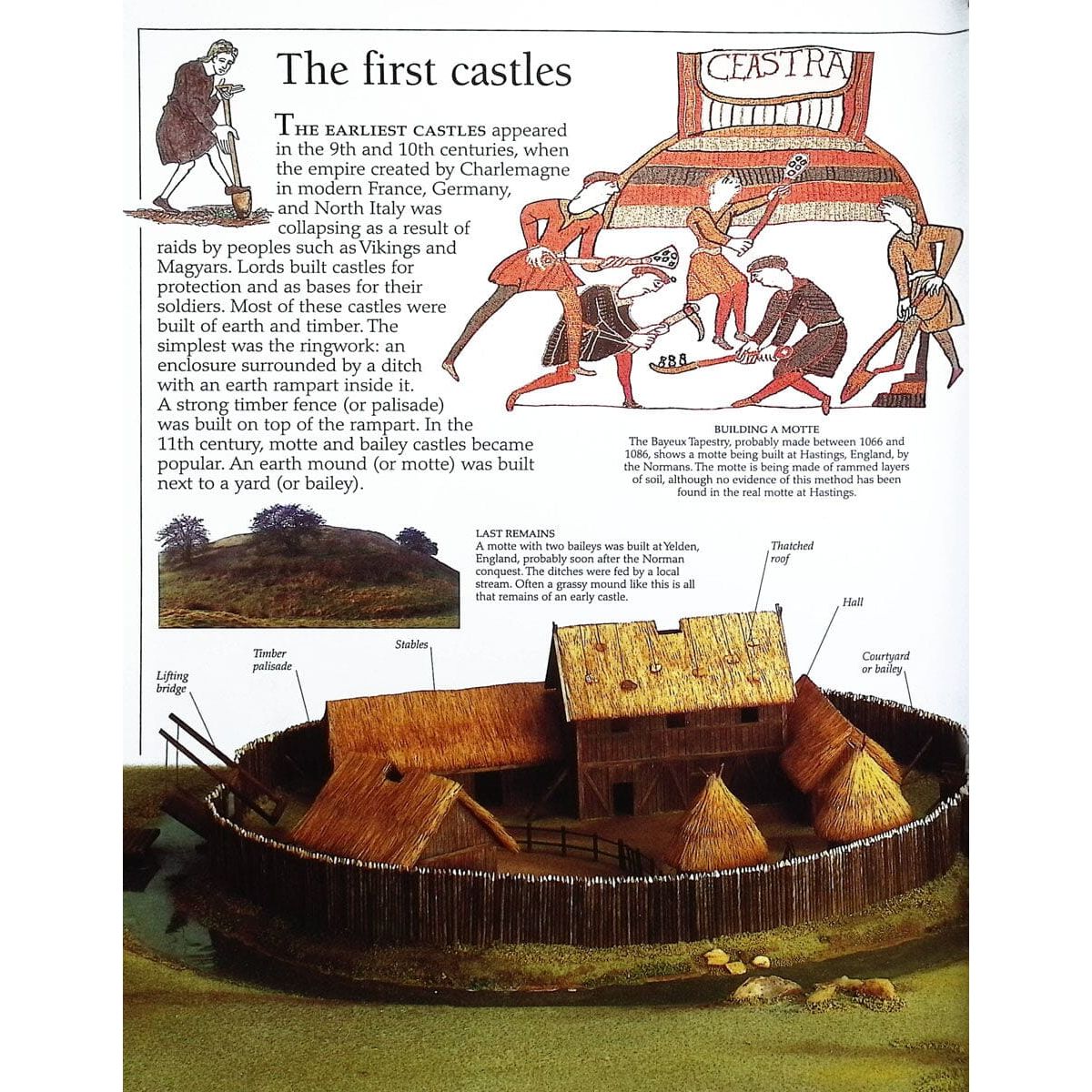 Eyewitness: Castle