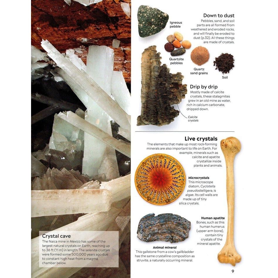 Eyewitness: Crystal & Gem
