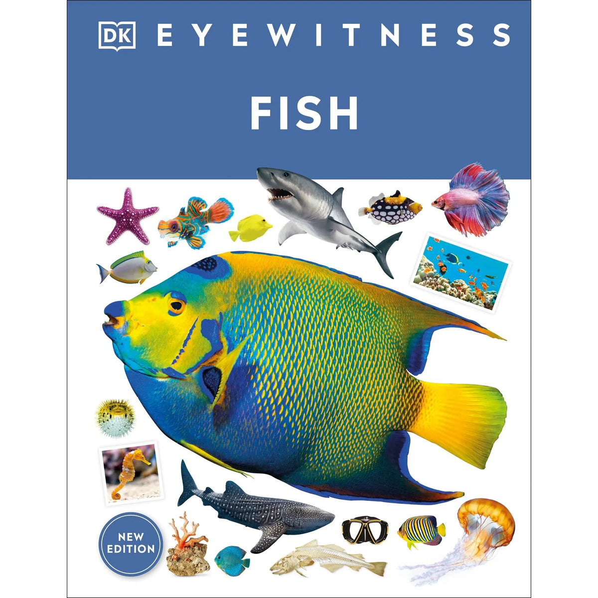 Eyewitness: Fish
