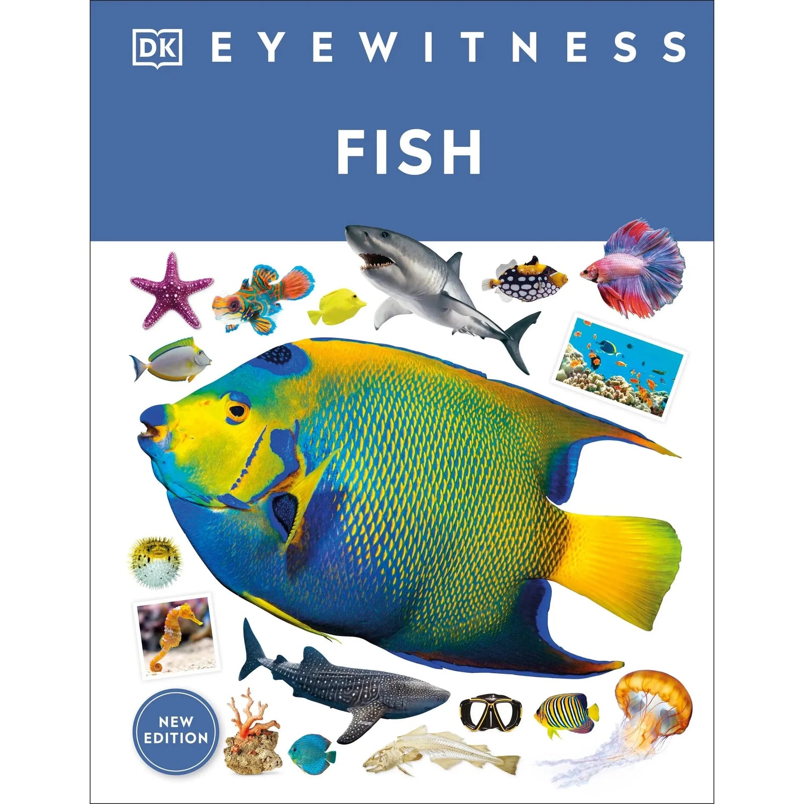 Eyewitness: Fish
