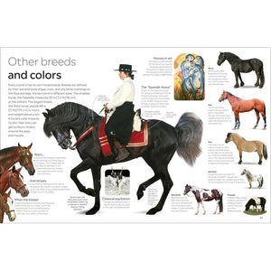 Eyewitness: Horse