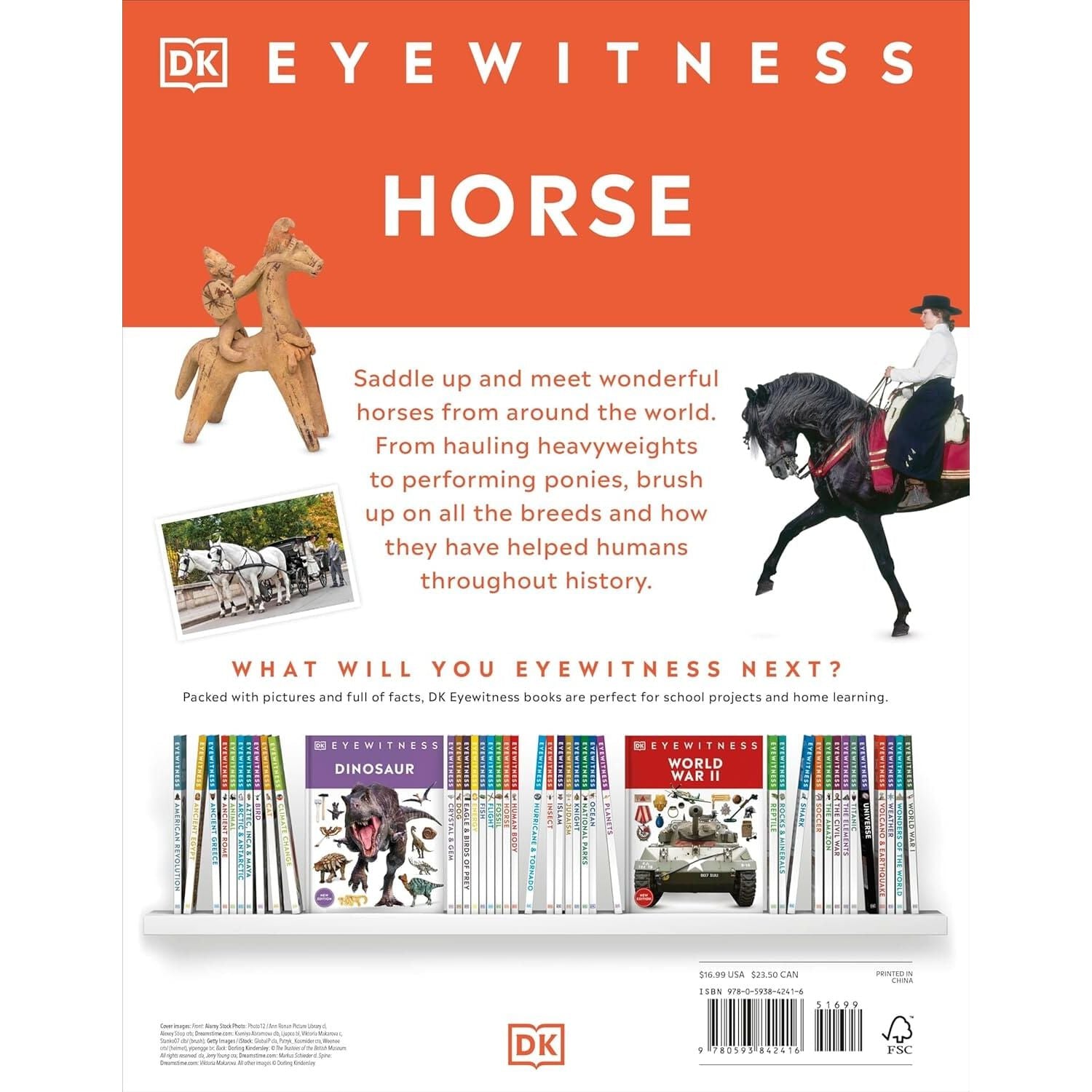Eyewitness: Horse