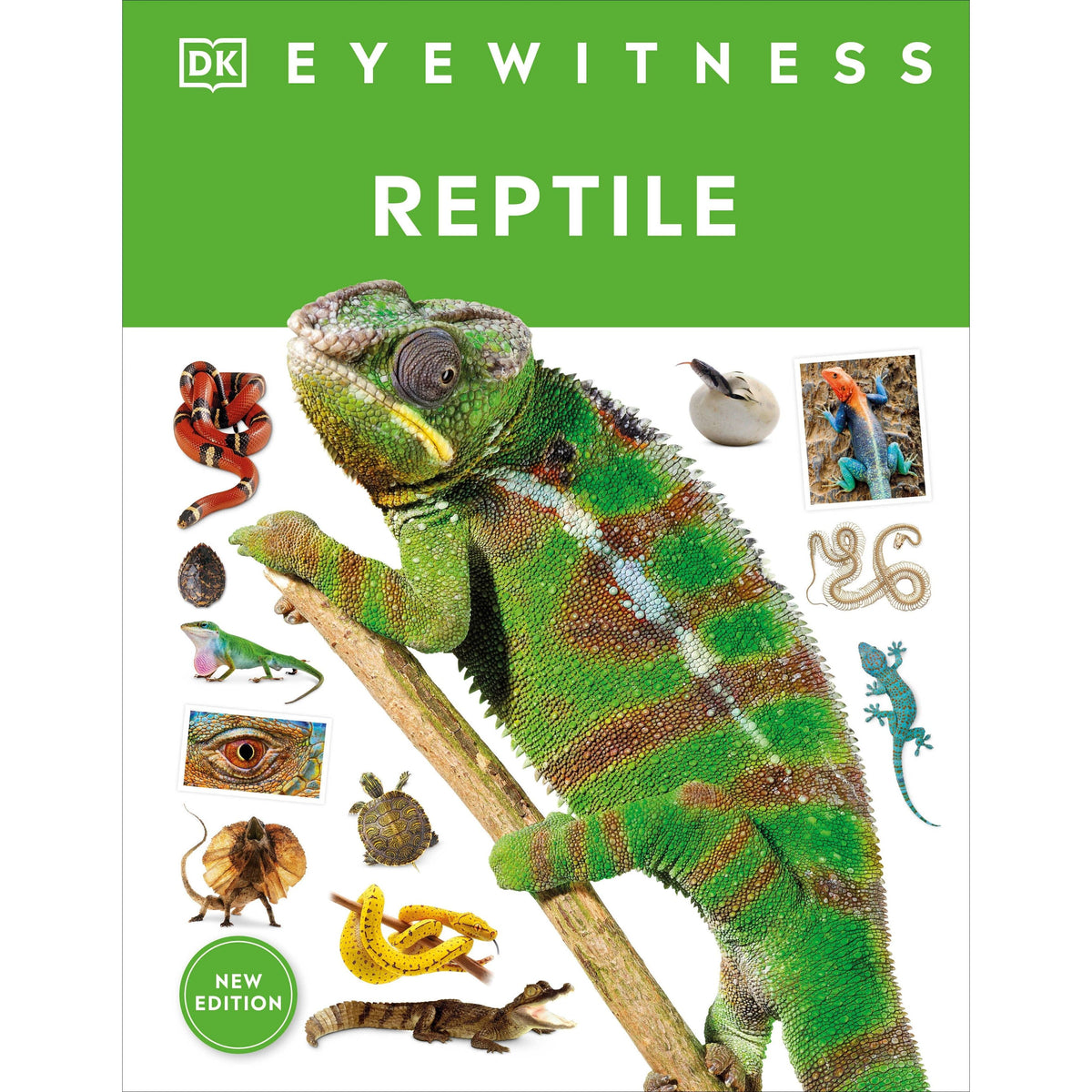 Eyewitness: Reptile