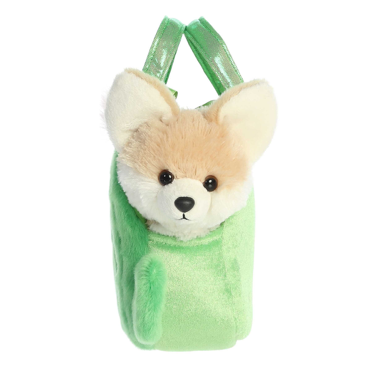 Fancy Pals- Smiling Cactus