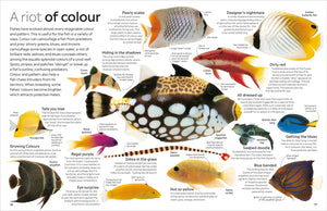 Eyewitness: Fish