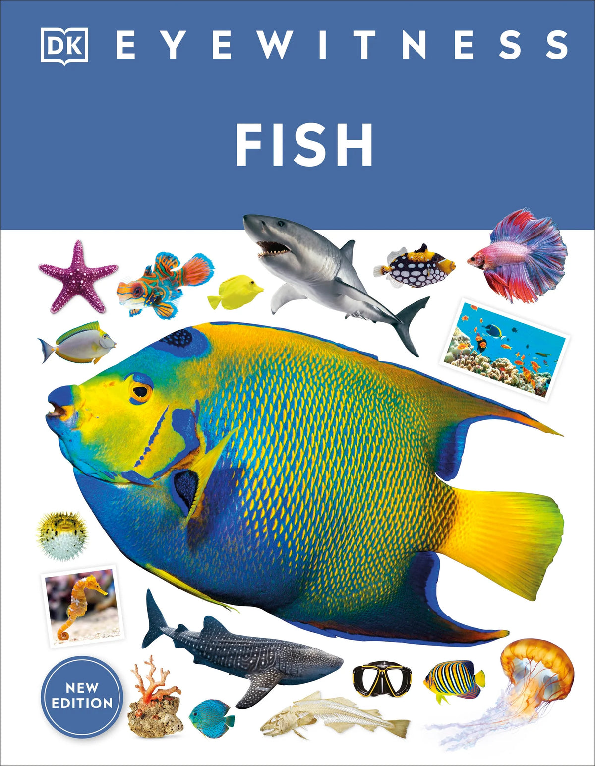 Eyewitness: Fish