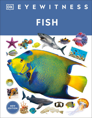 Eyewitness: Fish